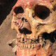 Illustration for article titled The Plague Has Been Around For a Lot Longer Than We Thought